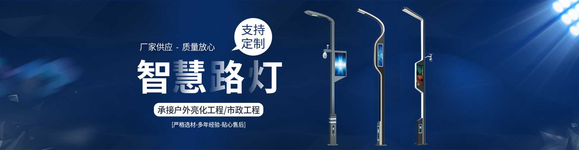 桑日县太阳能路灯定制厂家