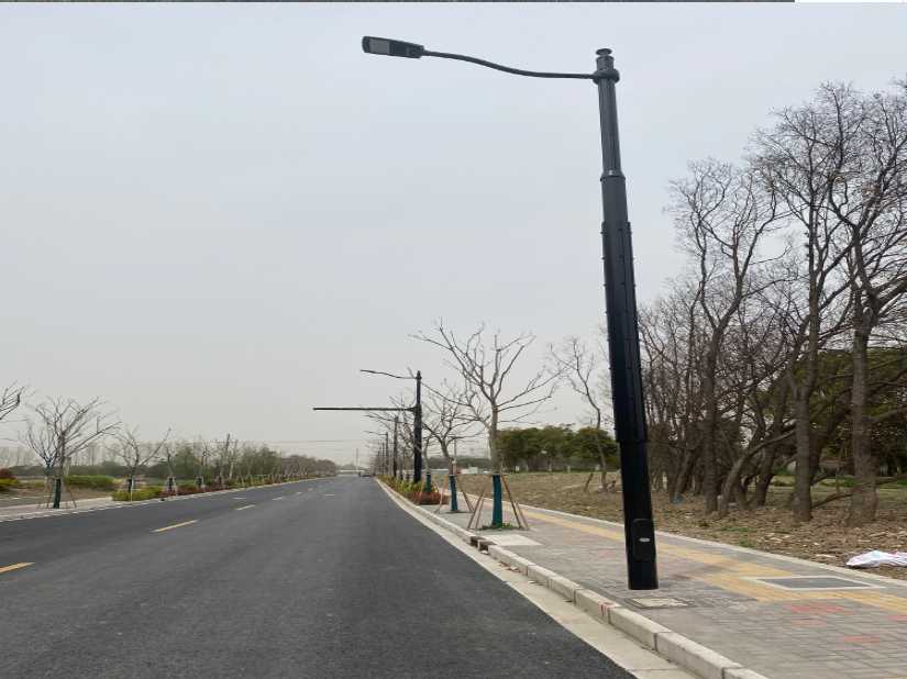 桑日县上海综合杆 太阳能路灯工程